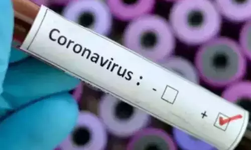 కర్నూల్ జిల్లాలో మండలాల వారీగా కేసులు ఇలా..