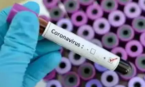 Coronavirus: ప్రపంచవ్యాప్తంగా 40 లక్షలు దాటిన కేసులు