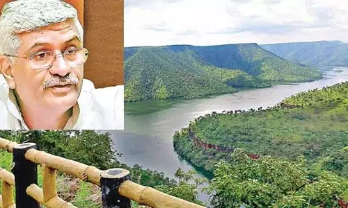 సమగ్ర ప్రాజెక్టు నివేదికలను పరిశీలించండి : కేంద్ర మంత్రి గజేంద్రసింగ్‌ షెకావత్‌