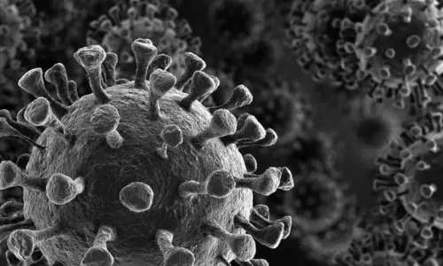 తెలంగాణలో కొత్తగా 41 కేసులు