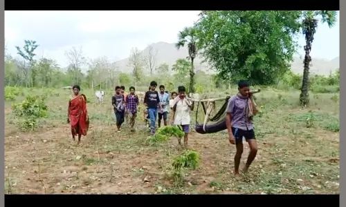 విశాఖ మన్యంలో మళ్ళీ చెలరేగుతున్న  మలేరియా