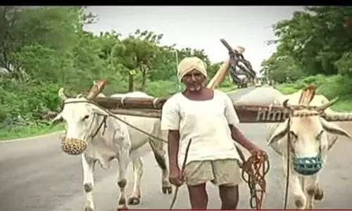 వేసవి దుక్కులు రెడీ!