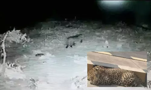 మళ్ళీ ప్రత్యక్షమైన చిరుత..ప్రజల్లో టెన్షన్!