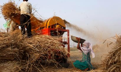 రైతులకు కేంద్రం శుభవార్త.. 14 రకాల పంటలకు మద్దతు ధర పెంపు!