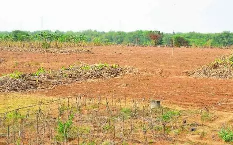 ఏపీలో ఆధార్ మాదిరిగానే భూధార్! ఏపీలో ఆధార్ మాదిరిగానే భూధార్!