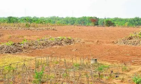 ఏపీలో ఆధార్ మాదిరిగానే భూధార్! ఏపీలో ఆధార్ మాదిరిగానే భూధార్!