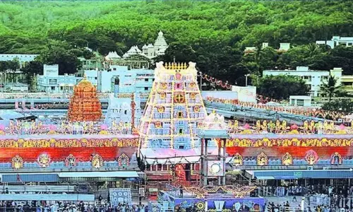 శ్రీవారి దర్శనాలపై క్లారిటీ ఇచ్చిన టీటీడీ ఈవో సింఘాల్ శ్రీవారి దర్శనాలపై క్లారిటీ ఇచ్చిన టీటీడీ ఈవో సింఘాల్