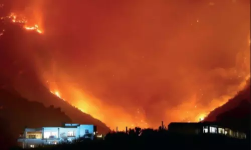 అమెరికాలో కార్చిచ్చు.. 8వేల ఎకరాల అడవులు ధ్వంసం