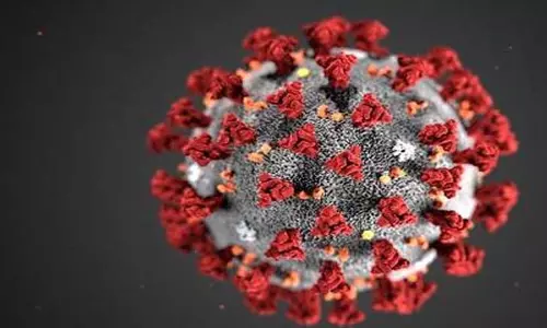 Coronavirus: హెల్త్ మినిస్టర్ రాజీనామా