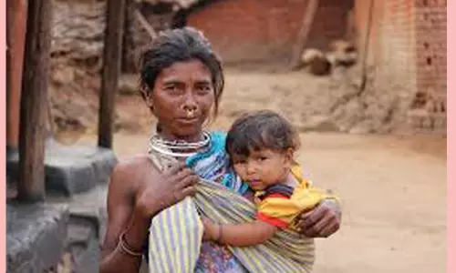 అడవి బిడ్డలను ఆదుకునేందుకు కొత్త చట్టం : సలహా మండలిలో తీర్మనం