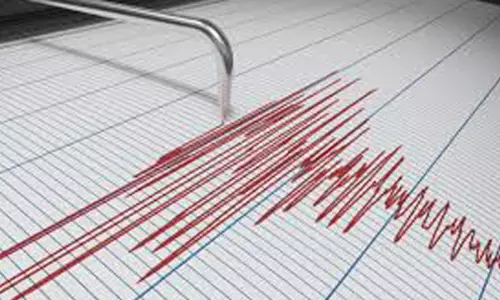 ప్రపంచాన్ని వెంటాడుతున్న ప్రకృతి వైపరీత్యాలు : న్యూజిలాండ్ లో భూకంపం