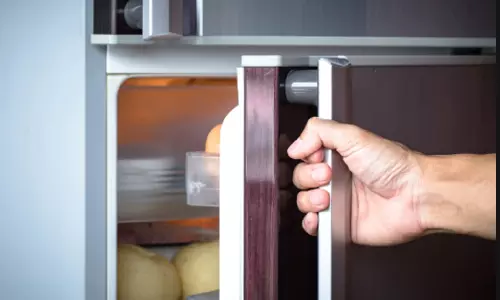 ఫ్రిడ్జ్ లో వీటిని ఉంచుతున్నారా.. అయితే..