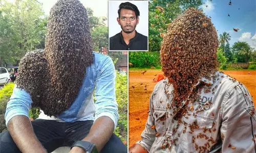 వావ్ గ్రేట్.. 60వేల తేనెటీగలు.. దాదాపు 4గంటలకు పైగా ఒంటిమీద..