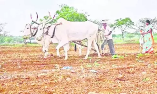 వానాకాలం సాగుకు కరోనా ఎఫెక్ట్