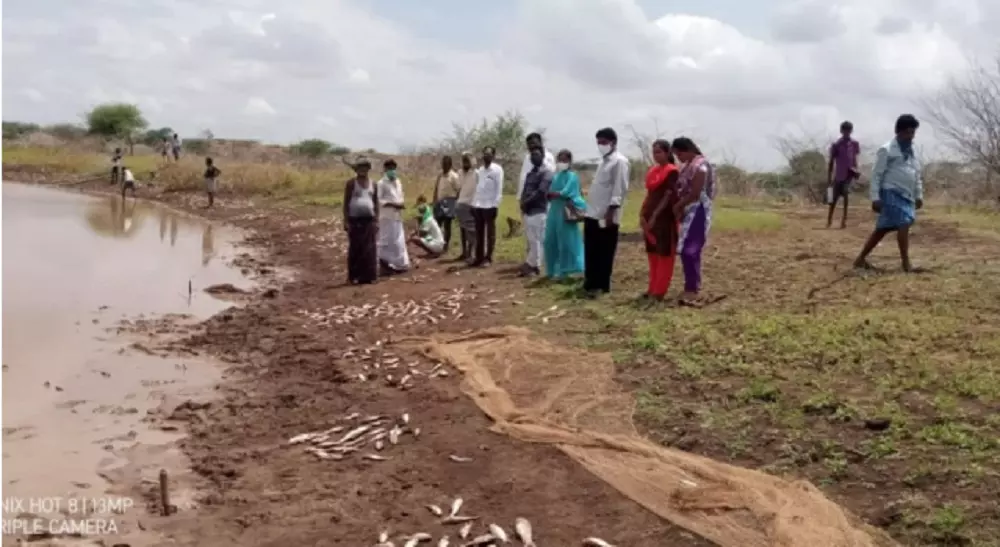 రెండు టన్నుల చేపల మృతి.. గ్రామస్థుల విచారం