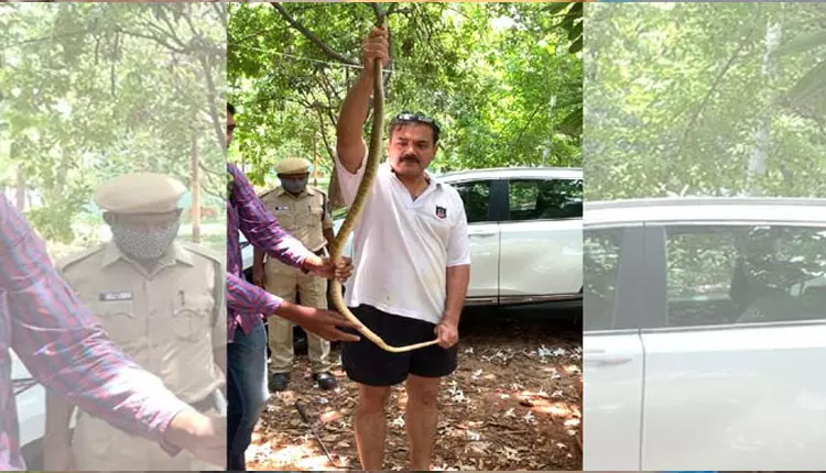 Hyderabad Police Commissioner anjani kumar: పాములను చంపొద్దు