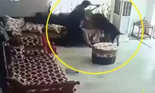 Lavanya Lahari Suicide Case Update: లావణ్య ఆత్మహత్య కేసులో కొత్త కోణం