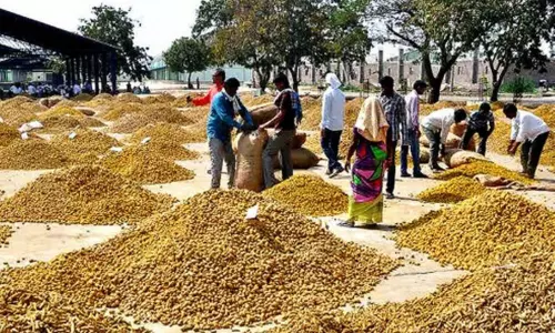 బంగ్లాకు ఇందురు పసుపు..పెరిగిన పసుపు ధర బంగ్లాకు ఇందురు పసుపు..పెరిగిన పసుపు ధర