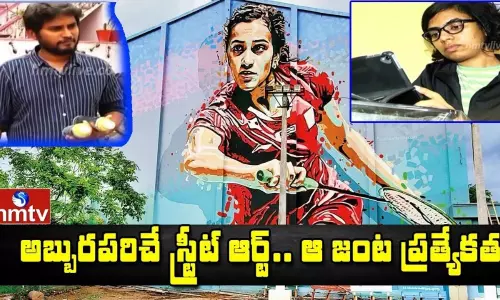 3D Street Art in Khammam: గోడలపై గ్రేట్‌ ఆర్ట్‌.. గోడలపై ఆర్ట్‌లు వేస్తూ ఆలోచింప చేస్తున్న యువజంట