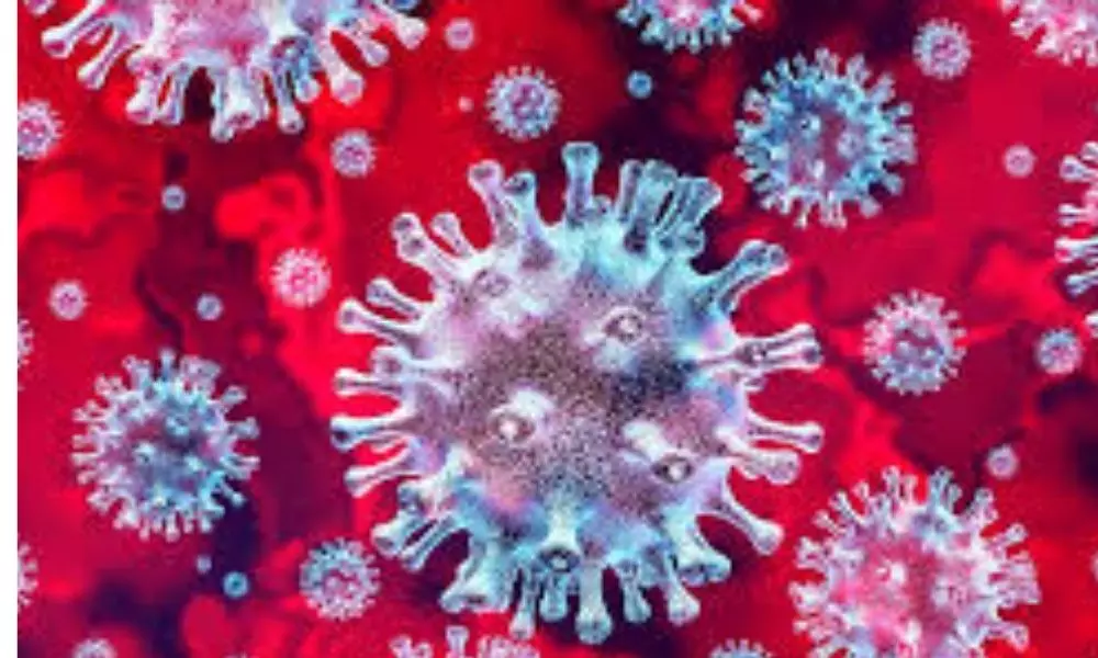Coronavirus Updates in Telangana: తెలంగాణలో మళ్ళీ భారీగా పెరిగిన కరోనా కేసులు!