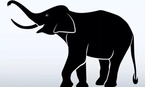 Mystery Elephant Deaths: రెండు నెలల్లో 350కిపైగా ఏనుగులు మిస్టరీస్ డెత్..