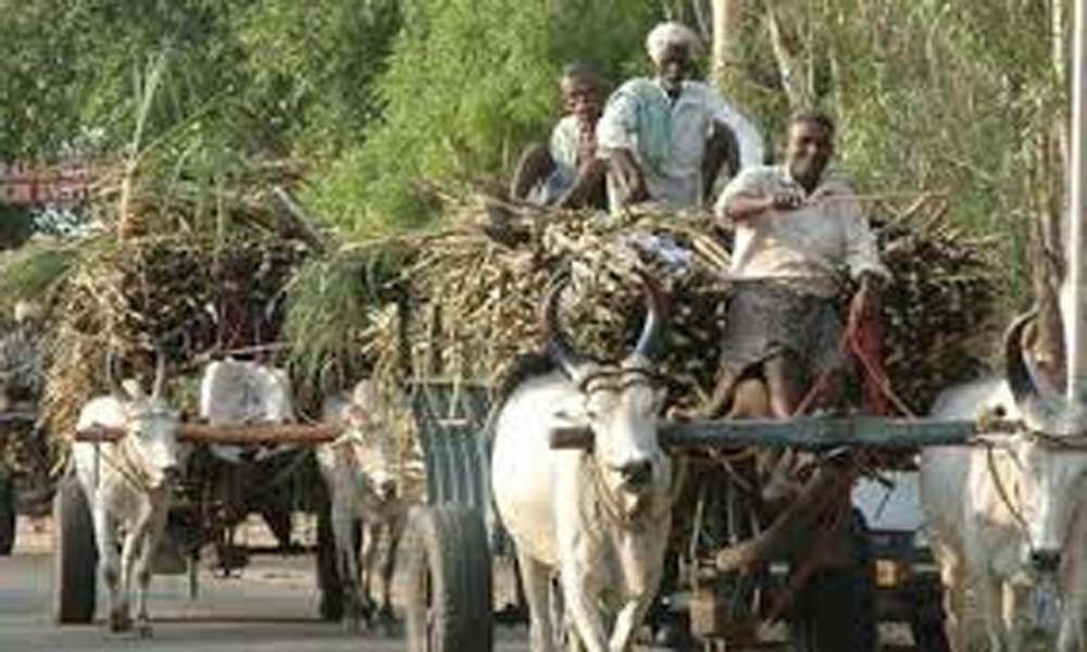 AP Government to Revive Sugar Factories రైతుల బకాయిల చెల్లింపు కోసం చర్యలు Andhra Pradesh