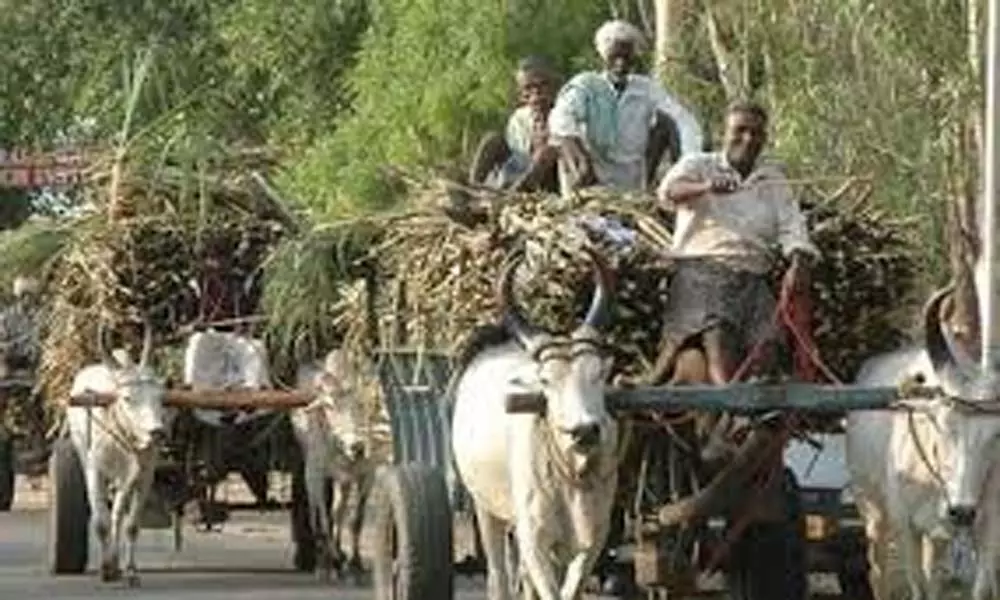 AP Government to Revive Sugar Factories: రైతుల బకాయిల చెల్లింపు కోసం చర్యలు