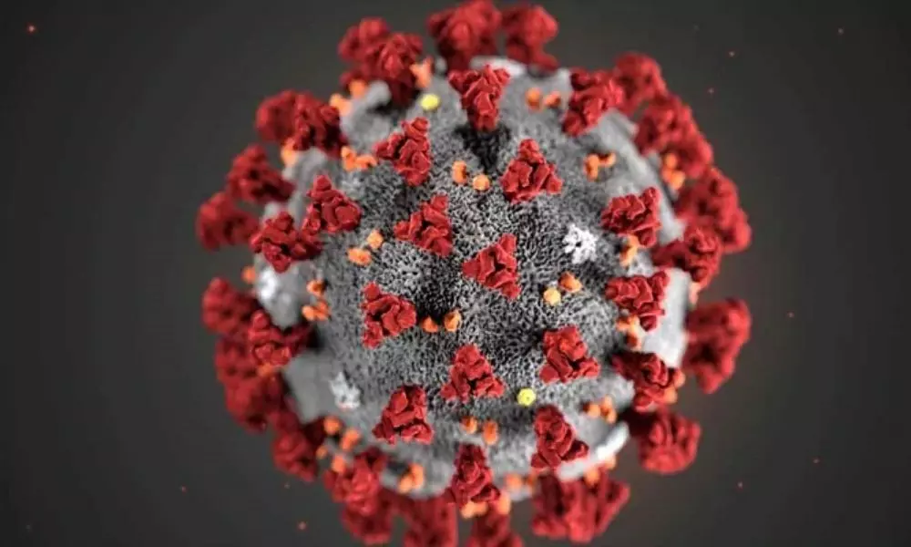 Coronavirus Pandemic: అంతా మా ఇష్టం అన్నట్టు ప్రవర్తిస్తున్న జనం.. జాగ్రత్తలు గాలికొదిలేసిన వైనం!