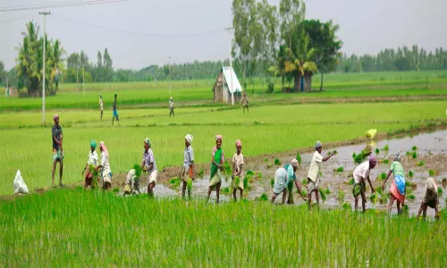 Rythu Bandhu Scheme: తెలంగాణలో రైతుబంధుకి ఇవాళే అఖరి రోజు..