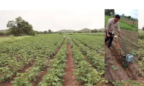 Solar Power Weeder inveted by Private Teacher: ఈ యంత్రంలో పత్తి రైతుల కష్టాలు మాయం..