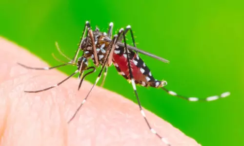 World Zoonoses day 2020: జంతువుల నుంచి మానవులకు వ్యాపించే వ్యాధులు..వాటిపై అవగాహన కోసం జూనోసిస్ డే! World Zoonoses day 2020: జంతువుల నుంచి మానవులకు వ్యాపించే వ్యాధులు..వాటిపై అవగాహన కోసం జూనోసిస్ డే!