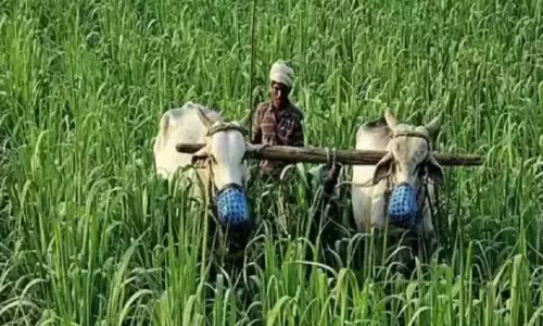 PM Kisan Samman Nidhi Scheme: అన్నదాతకు కేంద్రం తీపికబురు..రైతుల ఎకౌంట్లలోకి 2 వేల రూపాయలు! PM Kisan Samman Nidhi Scheme: అన్నదాతకు కేంద్రం తీపికబురు..రైతుల ఎకౌంట్లలోకి 2 వేల రూపాయలు!
