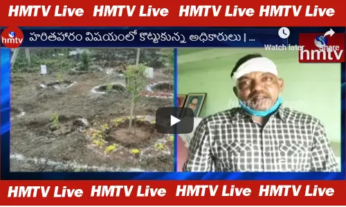 Fight Between ADs over Haritha Haram Issue: హరితహారం విషయంలో అధికారుల మధ్య రగడ! Fight Between ADs over Haritha Haram Issue: హరితహారం విషయంలో అధికారుల మధ్య రగడ!