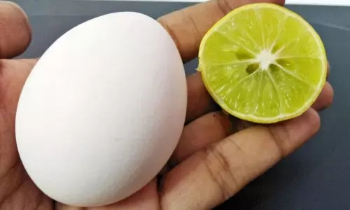 Coronavirus precautions : వ్యాధి నిరోధక శక్తి పెంచుకోవడమే కరోనా నుంచి రక్షిస్తుంది! Coronavirus precautions : వ్యాధి నిరోధక శక్తి పెంచుకోవడమే కరోనా నుంచి రక్షిస్తుంది!