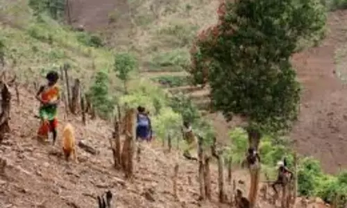 Land for tribals: ఏపీలో గిరిజనులకు పట్టాల పంపిణీ జరిగేది ఆరోజే!