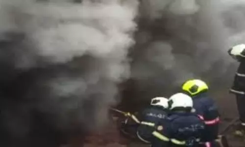 Fire Accident in Mumbai Borivali Area: ముంబైలోని బోరివాలి ప్రాంతంలో భారీ అగ్నిప్రమాదం