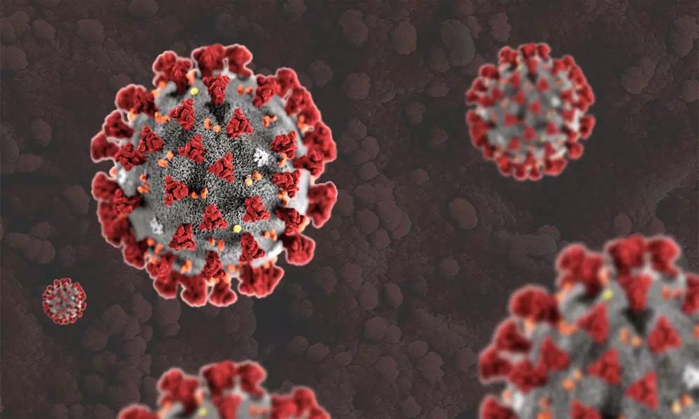 Coronavirus Updates in AP: ఏపీలో భారీగా పెరుగుతున్న కరోనా కేసులు.. కొత్తగా..