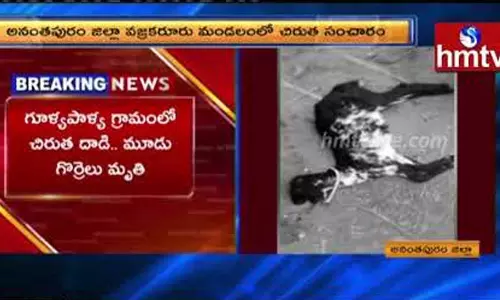 Leopard Hulchul in Anantapur District: చిరుత దాడి.. మూడు గొర్రెలు మృతి Leopard Hulchul in Anantapur District: చిరుత దాడి.. మూడు గొర్రెలు మృతి