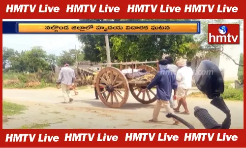 Corona Terror: బంధువులు ముందుకు రాకపోవటంతో ఎడ్లబండిపై మృతదేహాల తరలింపు