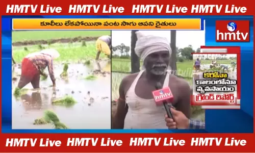 Ground Report On Farmers in Corona Time: కరోనా కాలంలోనూ వ్యవసాయం