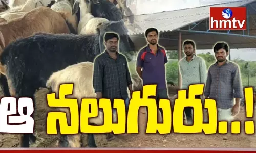 Youngsters Sheep Farming : ఉపాధిలో మెరిసిన ఆ నలుగురు Youngsters Sheep Farming : ఉపాధిలో మెరిసిన ఆ నలుగురు
