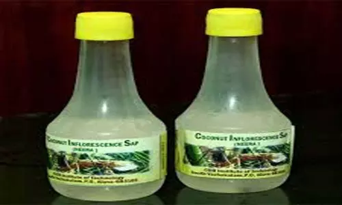 Foundation for Neera cafe on Necklace Road: నక్లెస్ రోడ్డులో నీరా కేఫ్.. రూ. 3 కోట్లు మంజూరు చేసిన టి. సర్కార్ Foundation for Neera cafe on Necklace Road: నక్లెస్ రోడ్డులో నీరా కేఫ్.. రూ. 3 కోట్లు మంజూరు చేసిన టి. సర్కార్