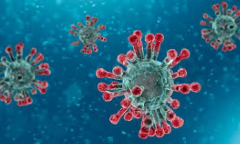Coronavirus updates in Andra pradesh: ఏపీలో రికార్డు స్థాయిలో కరోనా పాజిటివ్ కేసులు