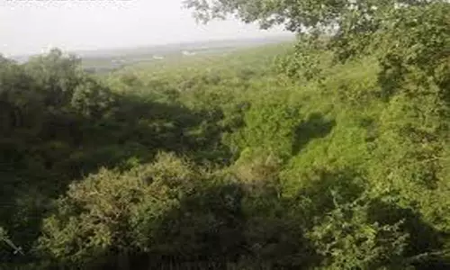 Accident at Nallamala Forest: నల్లమలలో ప్రమాదం.. ఇద్దరు మరణం