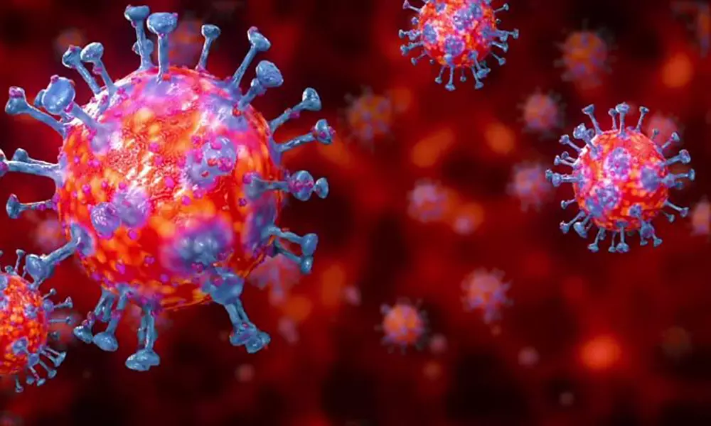 Coronavirus Updates in India: భారత్‌లో కొత్తగా 40,425 కరోనా పాజిటివ్‌ కేసులు