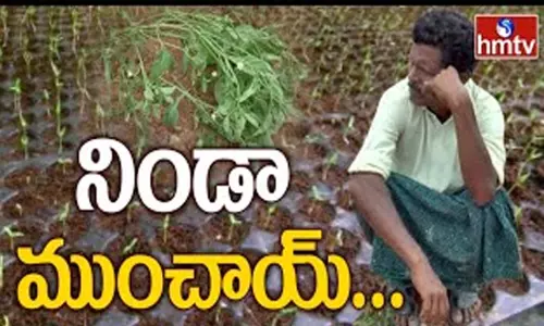 Farmers Face Problems : దళారుల ధనదాహానికి బలవుతున్న అన్నదాతలు Farmers Face Problems : దళారుల ధనదాహానికి బలవుతున్న అన్నదాతలు