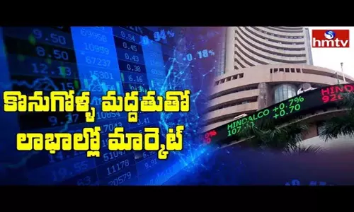 Indian Share Market Ends with Profits: చాలా రోజుల తర్వాత లాభాల్లో షేర్ మార్కెట్