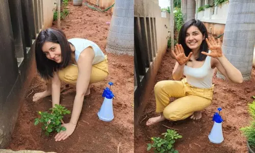 Rashi khanna accepted green india challenge: ఆ స్టార్ హీరోయిన్లకు రాశీ ఖన్నా గ్రీన్ ఇండియా ఛాలెంజ్!