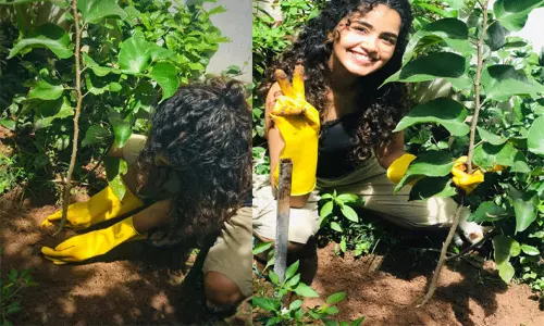 Anupama Parameswaran Accept Green India Challenge: 12 మందికి గ్రీన్ ఇండియా ఛాలెంజ్ విసిరిన అనుపమ! Anupama Parameswaran Accept Green India Challenge: 12 మందికి గ్రీన్ ఇండియా ఛాలెంజ్ విసిరిన అనుపమ!