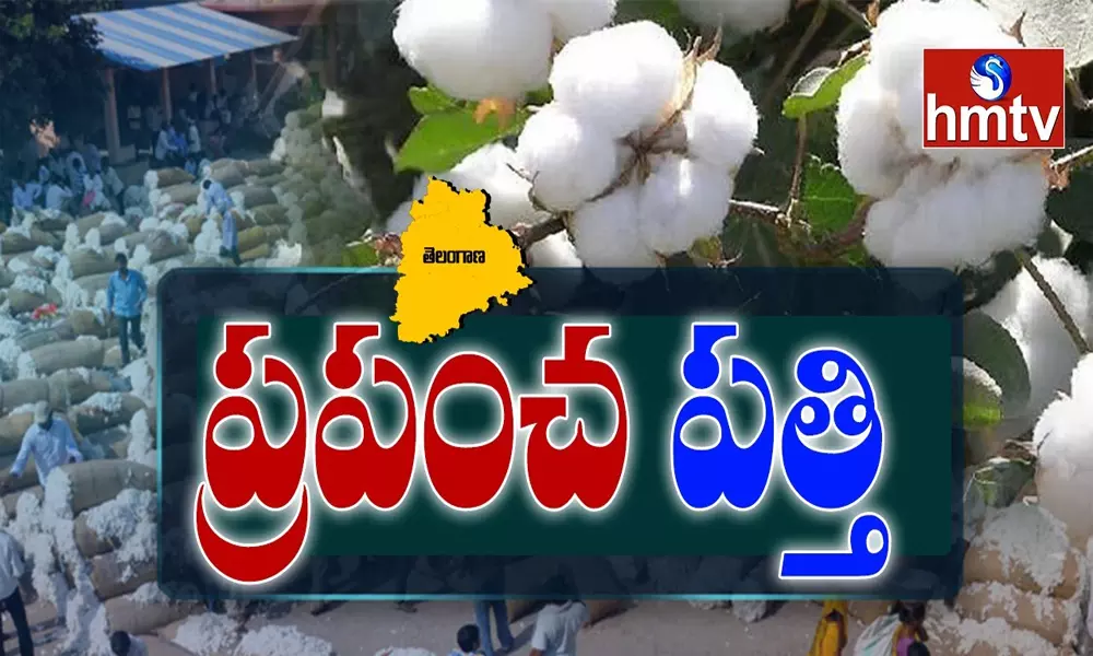 Cotton Farming in Telangana: తెల్లబంగారం పండించి రైతే రాజు కావాలంటున్న ప్రభుత్వం